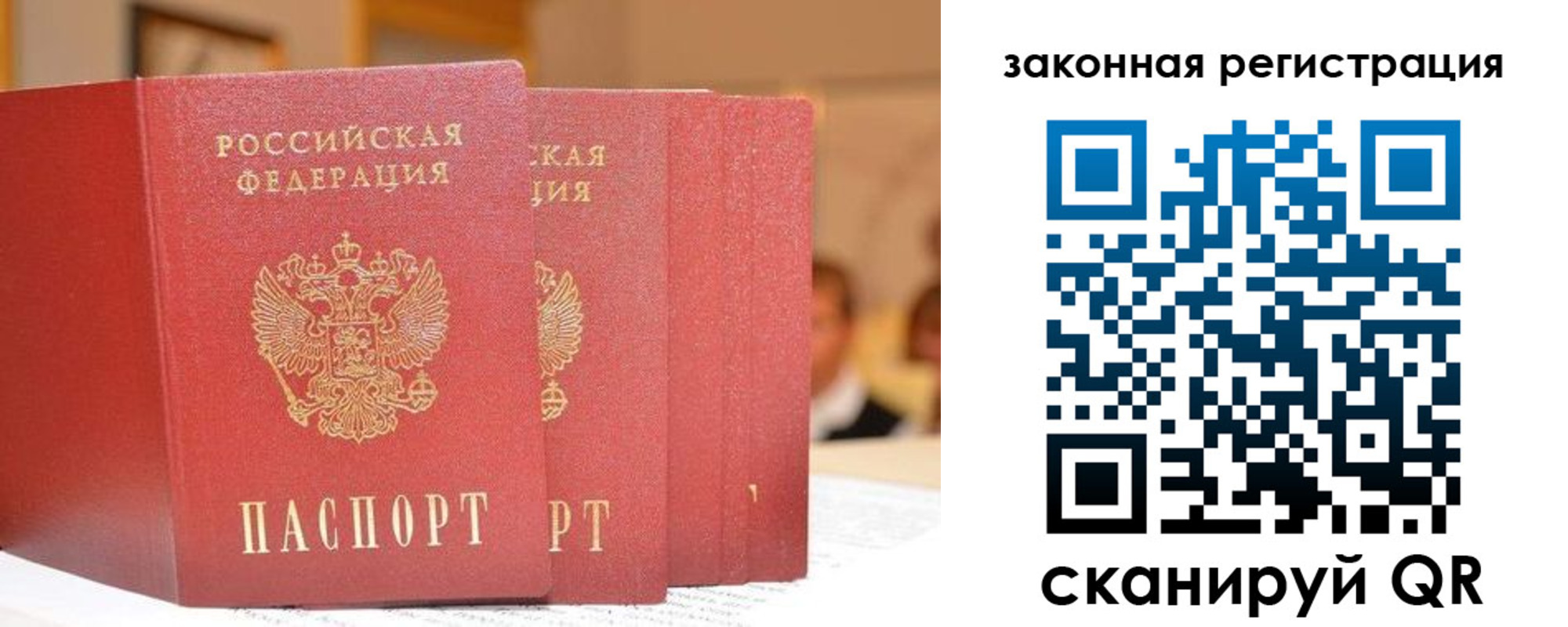 прописка поиск в Касимове